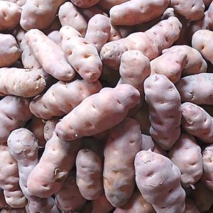 রংপুরের বিখ্যাত শিলবিলাতি আলু  (5 KG)